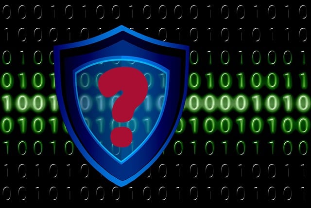 Digital Chaos at Wits: Oracle System Gets Hammered by Zero-Day Attack